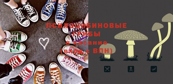 гашик Верхний Тагил