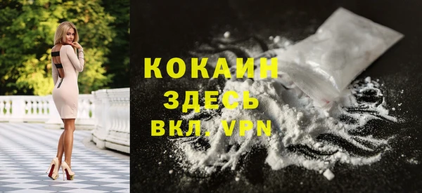 дживик Верея