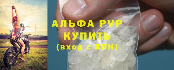 дживик Верея