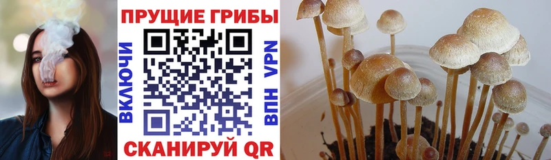 Галлюциногенные грибы мицелий  Купить закладки  Анива 